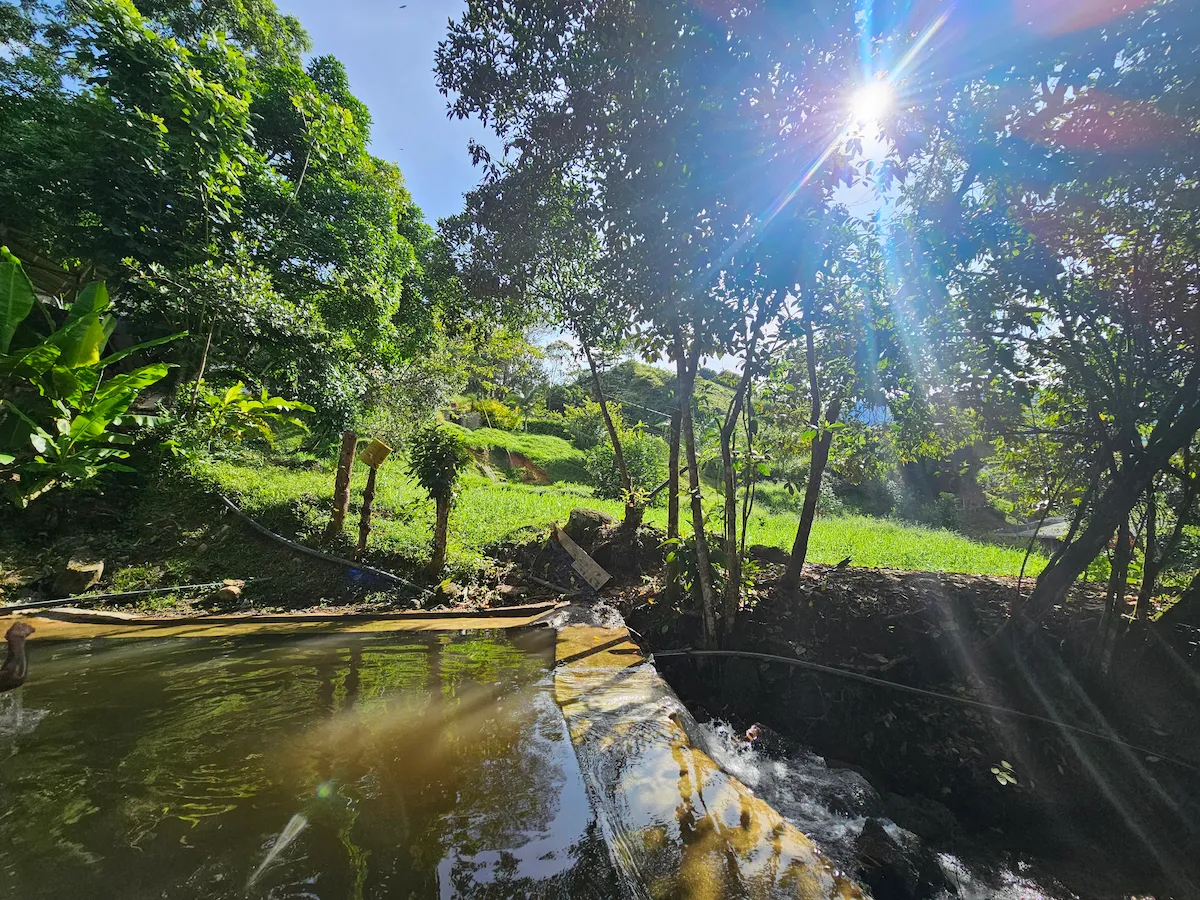Cabañas El Progreso