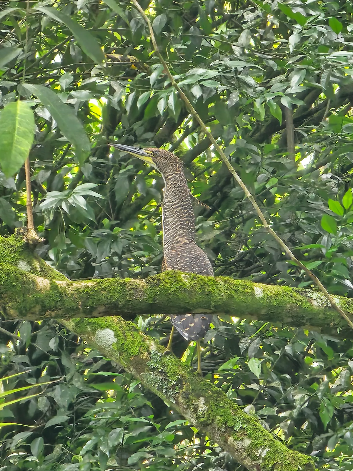 Naturaleza y paisaje