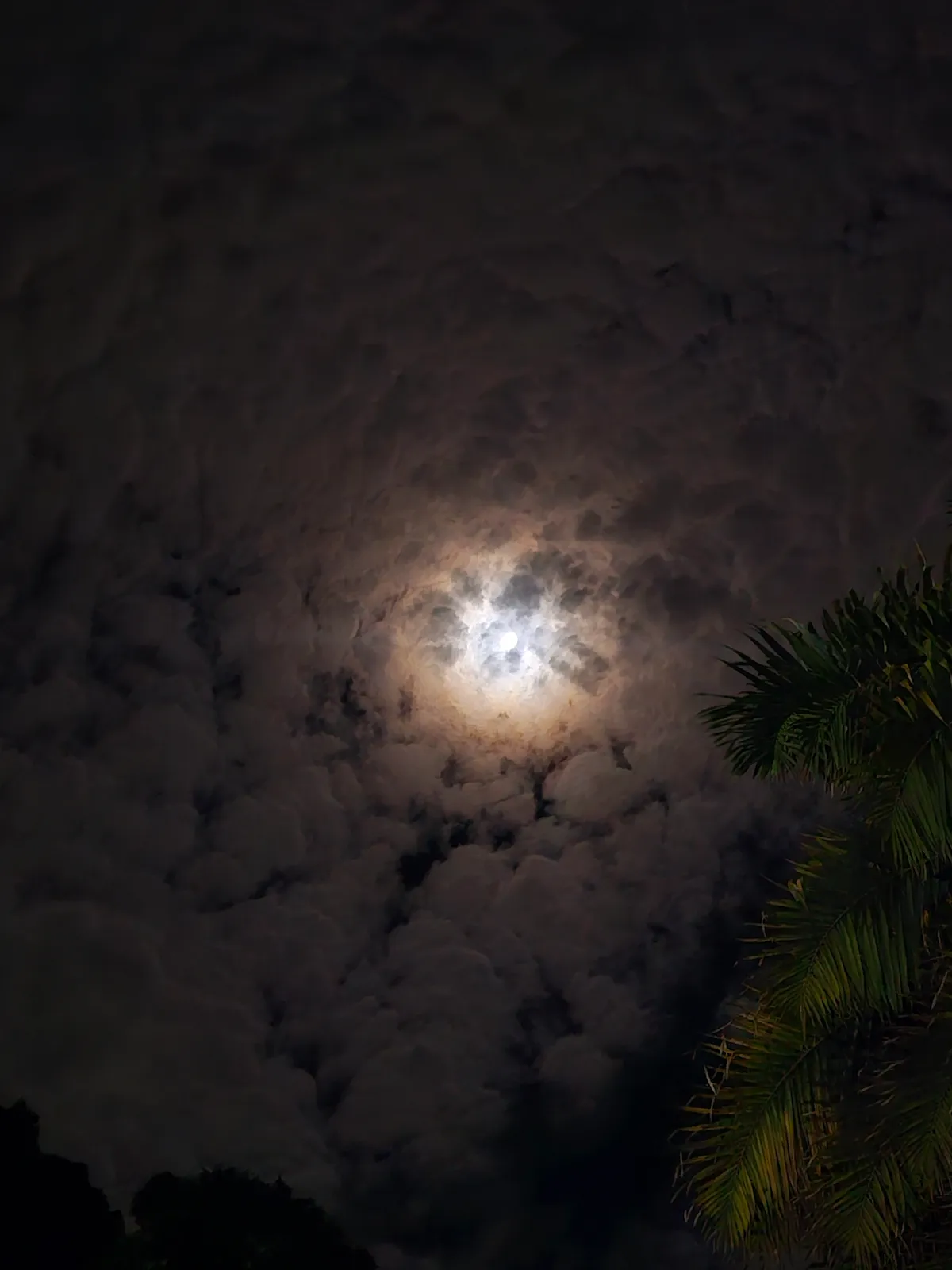 Vista nocturna