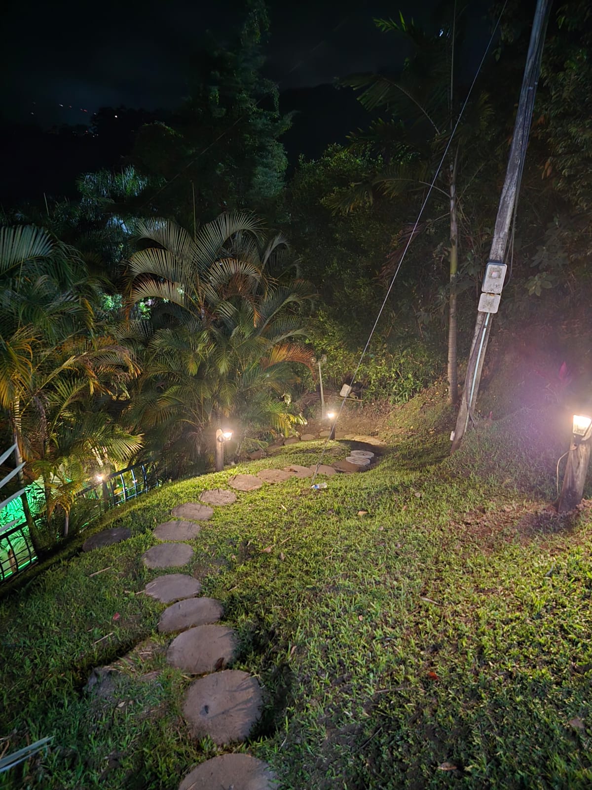 Vista nocturna