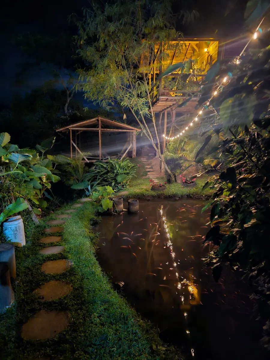 Vista nocturna